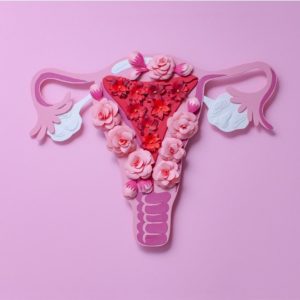aparato reproductor femenino
