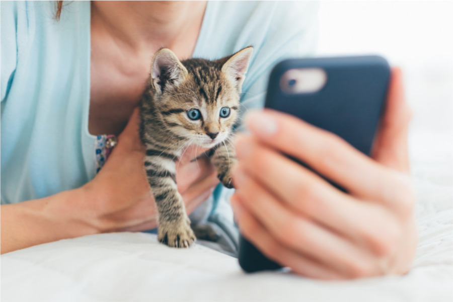 Aplicaciones para cuidar mascotas