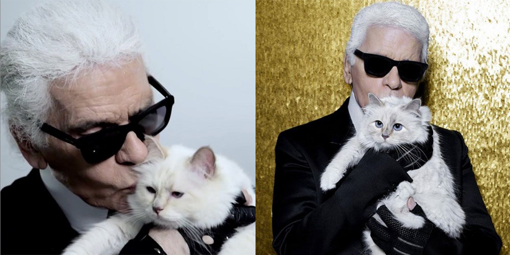 ¿El gato de Karl Lagerfeld será el heredero de su fortuna? - Revista ...