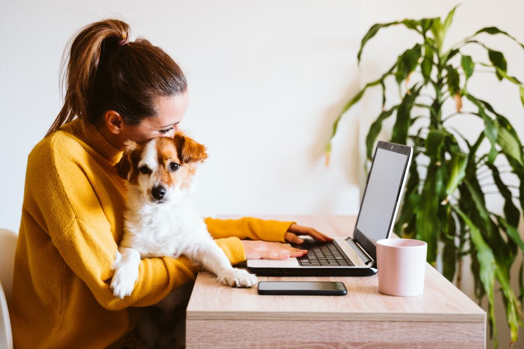 Beneficios de tener mascotas en el trabajo