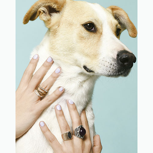 adopción
