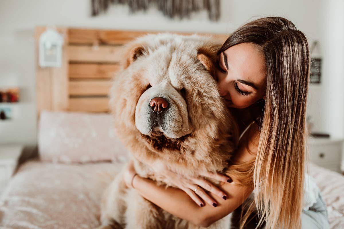 platica con tu perro, Él entiende más de lo que crees, lo dice la ciencia