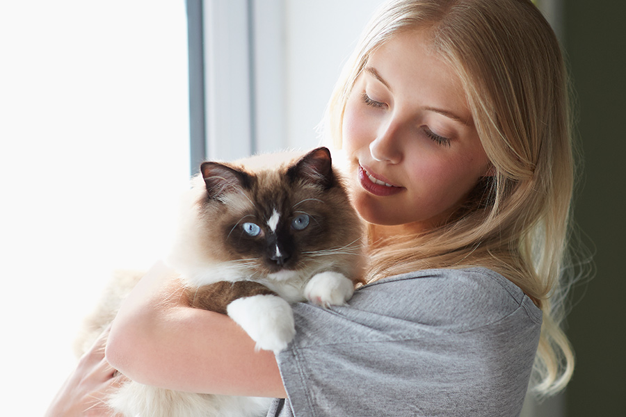Tu gato y tú tienen los mismos problemas emocionales, según estudio