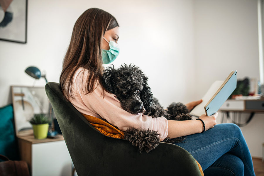 Tener mascota ayudó a mantener una mejor salud mental durante el confinamiento