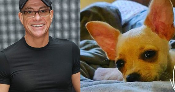 ¡Awww, amamos! Jean-Claude Van Damme salva la vida de una perrita sin papeles