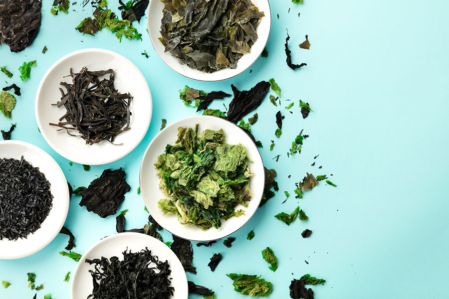 ¿Son tan beneficiosas las algas como creemos? Mitos y realidades. (Foto: Getty Images)