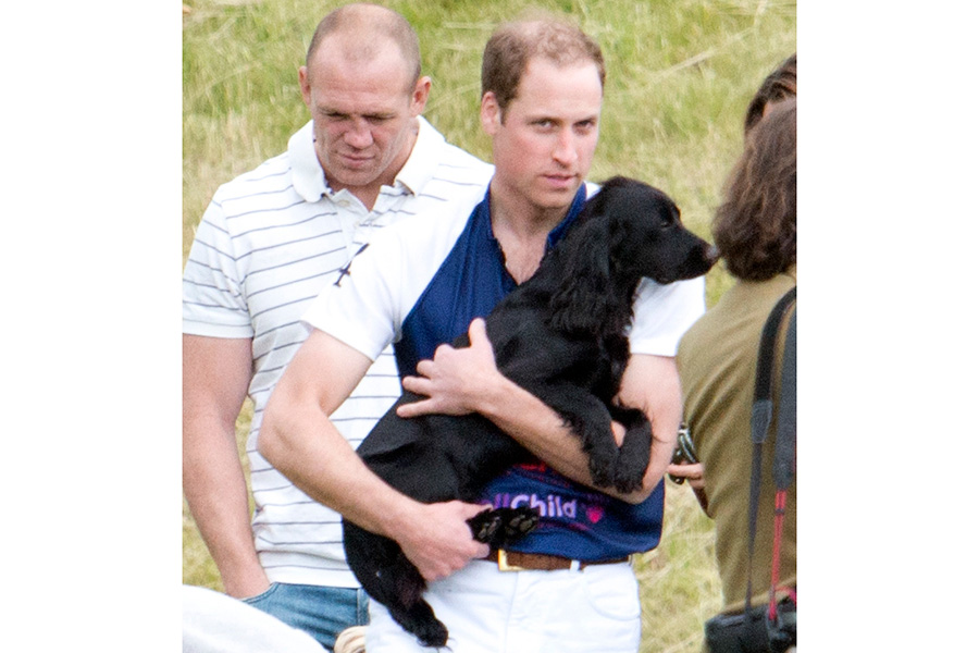Lupo Duques de Cambridge