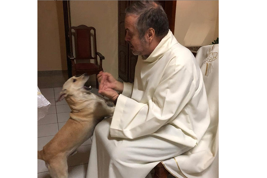 Aww! Este sacerdote busca hogar a perritos de la calle en misa, conoce la historia