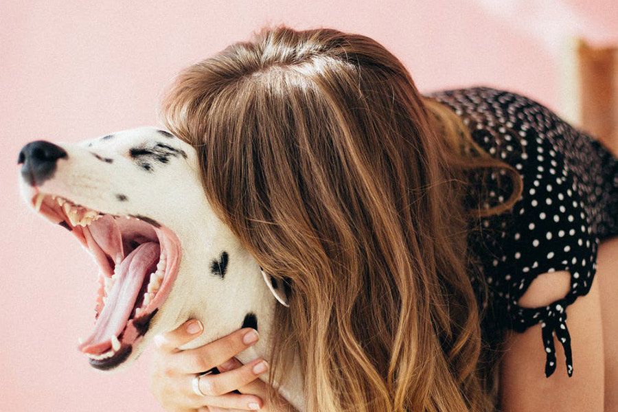 perro enamorado de ti ciencia