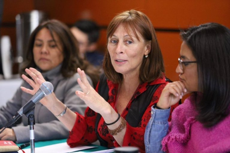 Tatiana Clouthier Biografía Curriculum Y Libros De La Secretaria De