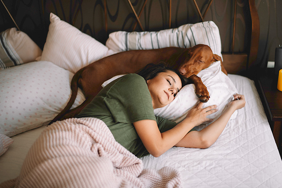 Dormir con tu perrito es mejor que hacerlo con tu pareja, lo dice un estudio