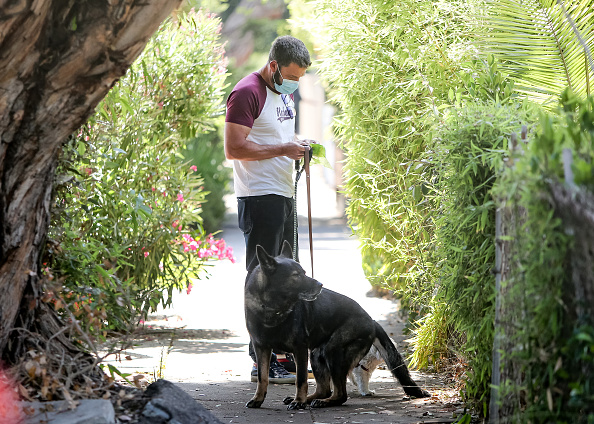 ben affleck paseando a su perro
