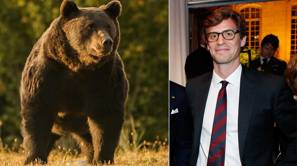 Fotos: el oso tomado por Agent Green/ Príncipe Emanuel de Liechtenstein. Getty Images