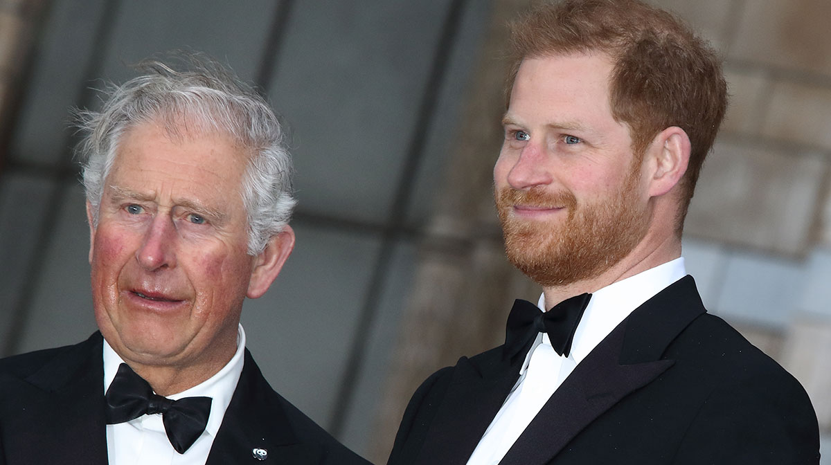 El príncipe Carlos no se reunirá con Harry en su visita por inauguración de  estatua de LadyDi – Revista Cosmopolitan