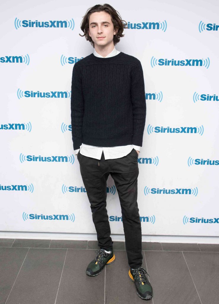 Timothee Chalamet: look en 2017