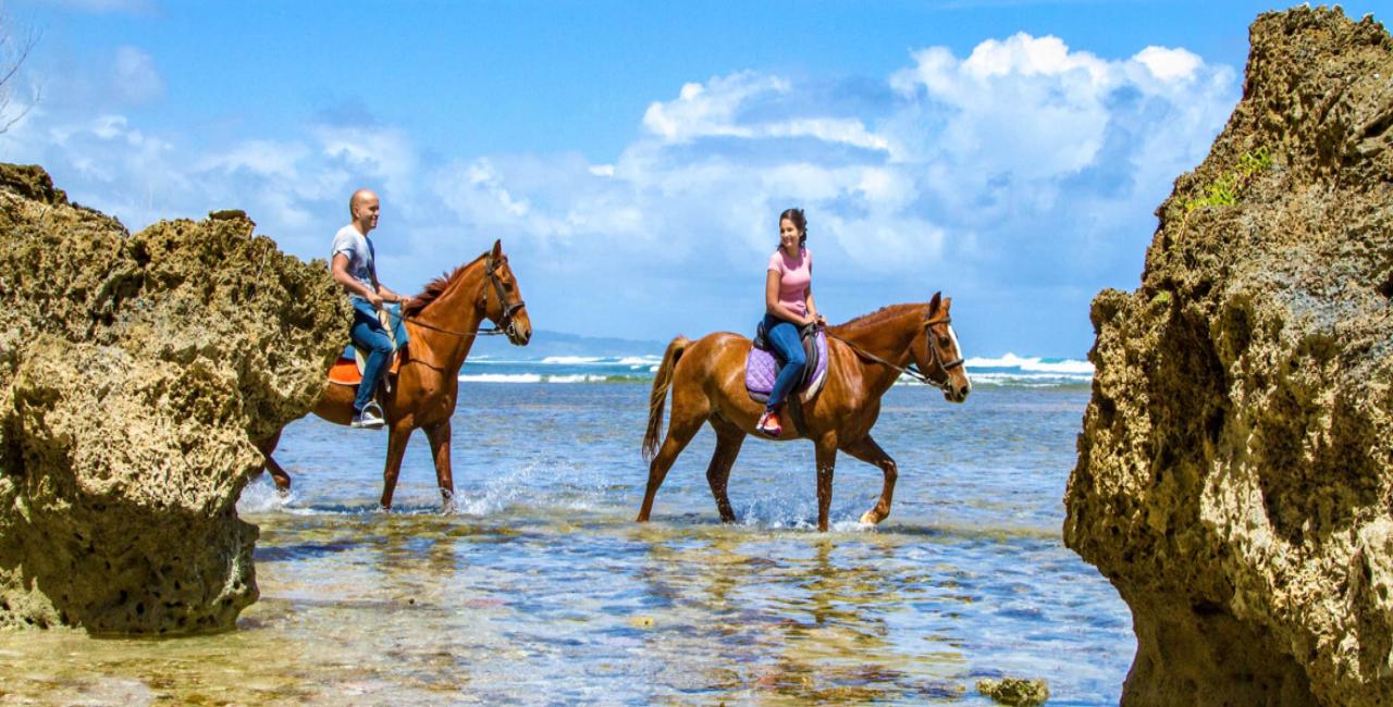 cabalgata a caballo en playa de barbados