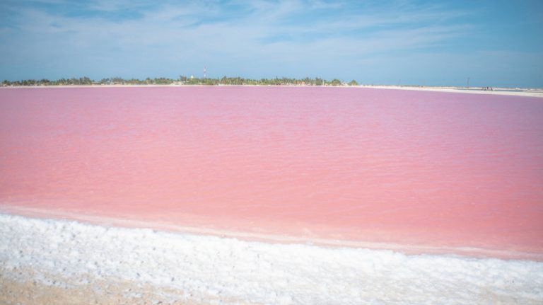 Las Coloradas Yucatán: por qué el agua es rosa (playa rosada)