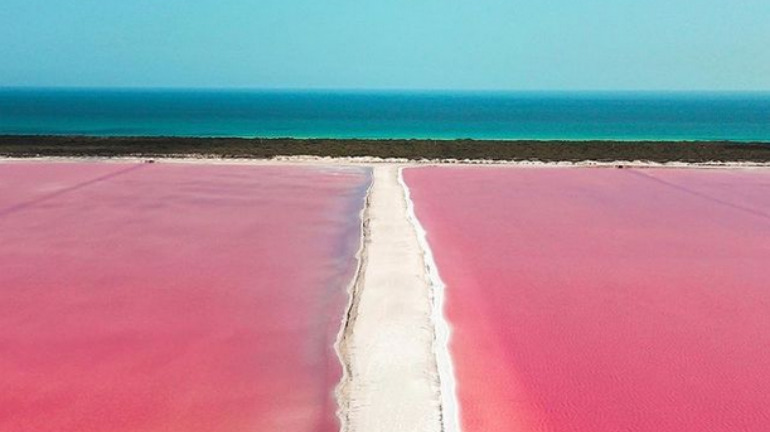 Playa rosa de Yucatán