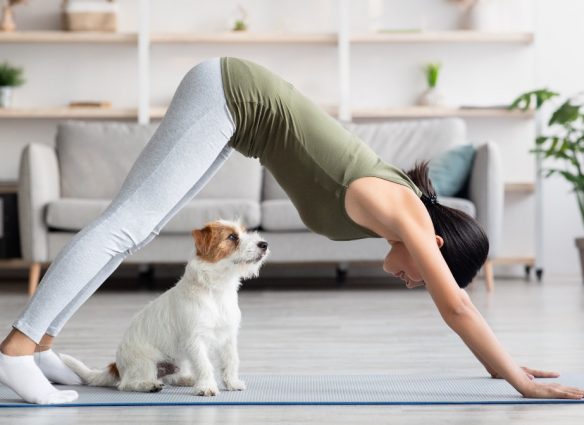 Cómo es hacer yoga con perritos