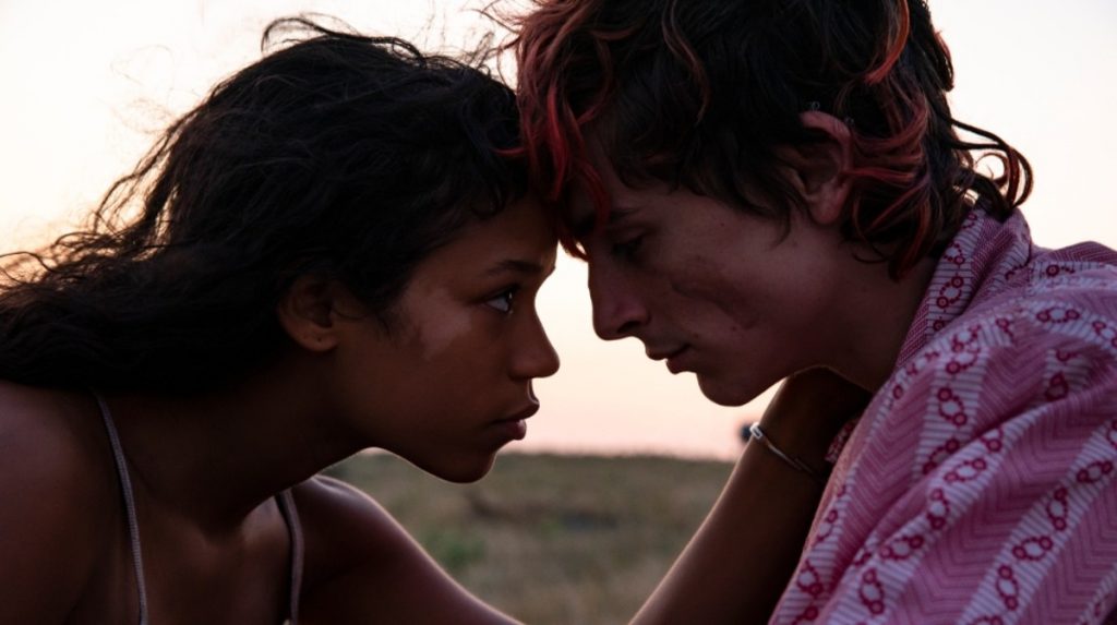 Timothée Chalamet protagoniza un romance caníbal con Taylor Russel