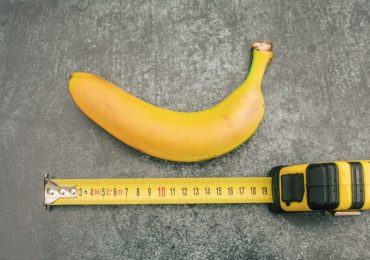 cuánto mide el pene promedio